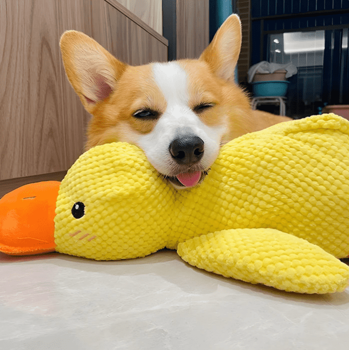 The Calming Duck Toy