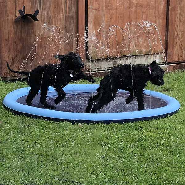 PupSplash Fun Pad