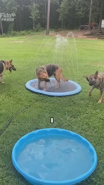 PupSplash Fun Pad